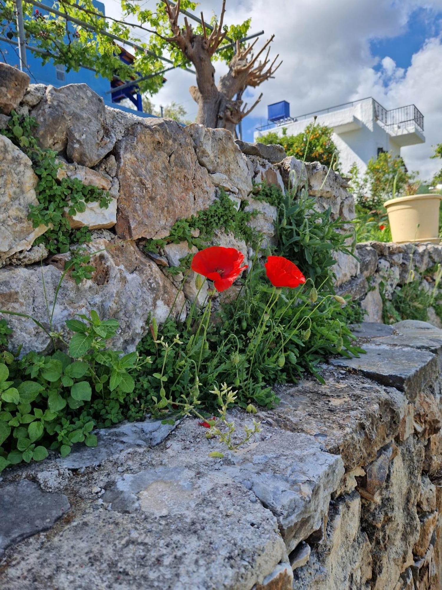 Stefanos Garden Apartamento Arménoi Exterior foto