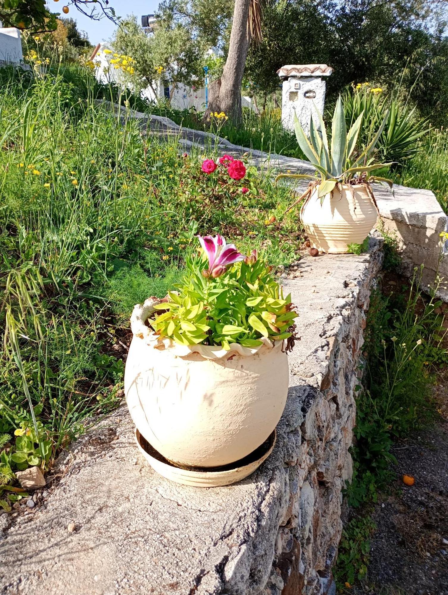 Stefanos Garden Apartamento Arménoi Quarto foto